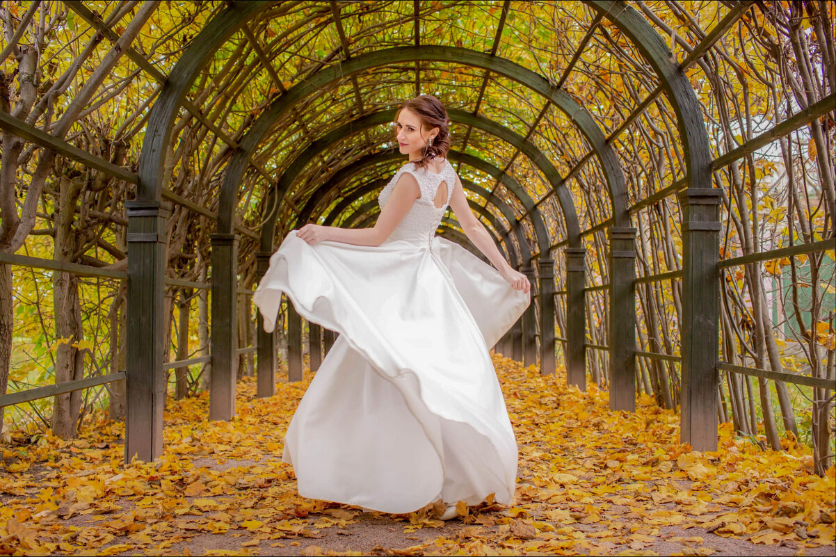 Аллея цвета осени - Виктор Павленко 