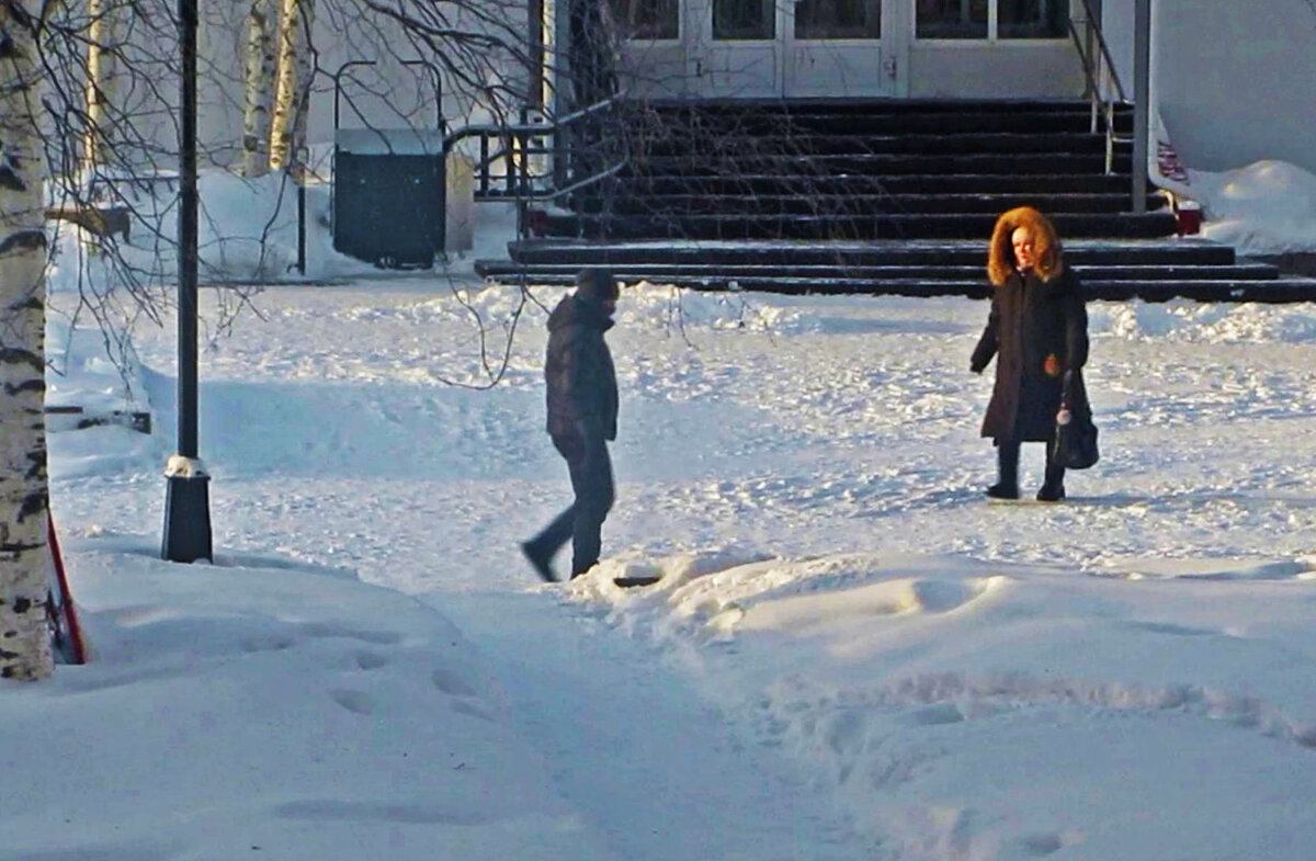 Февраль...Мороз не тётка! - Владимир 