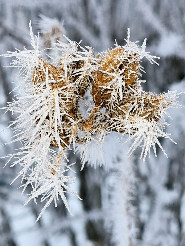 Влажность и мороз - Валерий Ткаченко