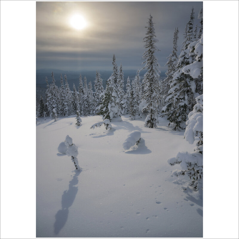 * - Александр Иванов