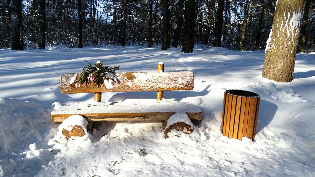 Про смоленскую зиму. - Милешкин Владимир Алексеевич 