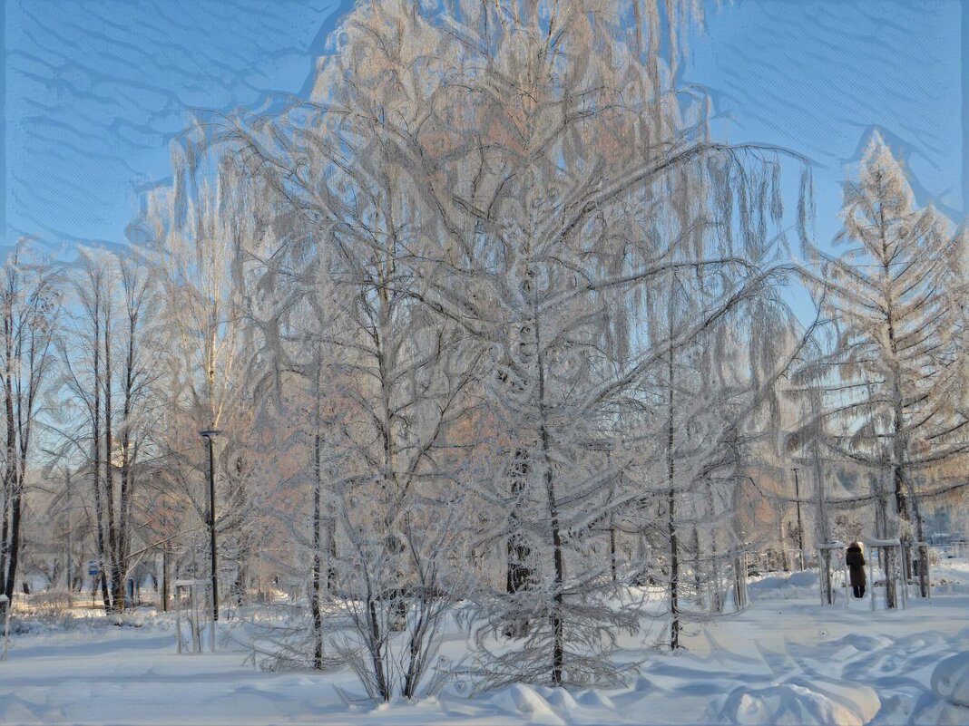 В зимнем парке - Лариса С.