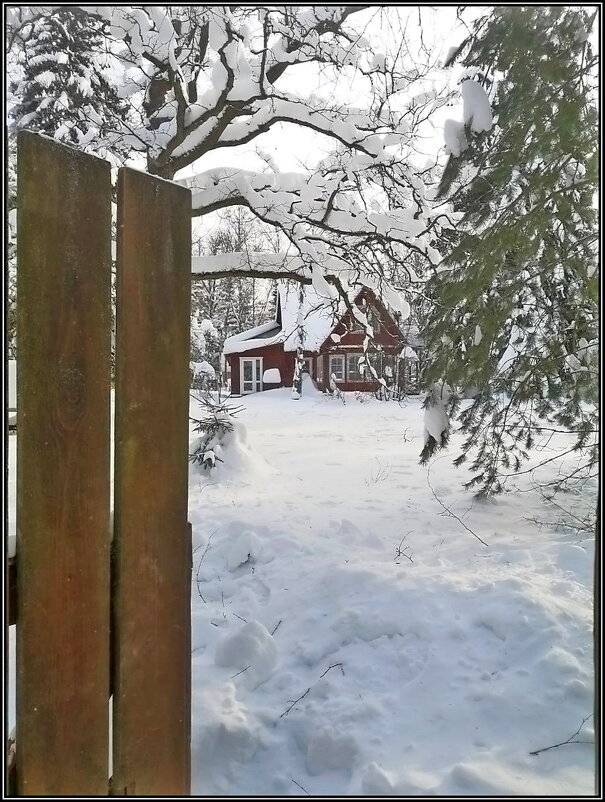Зима в Подмосковье. - Ольга Довженко