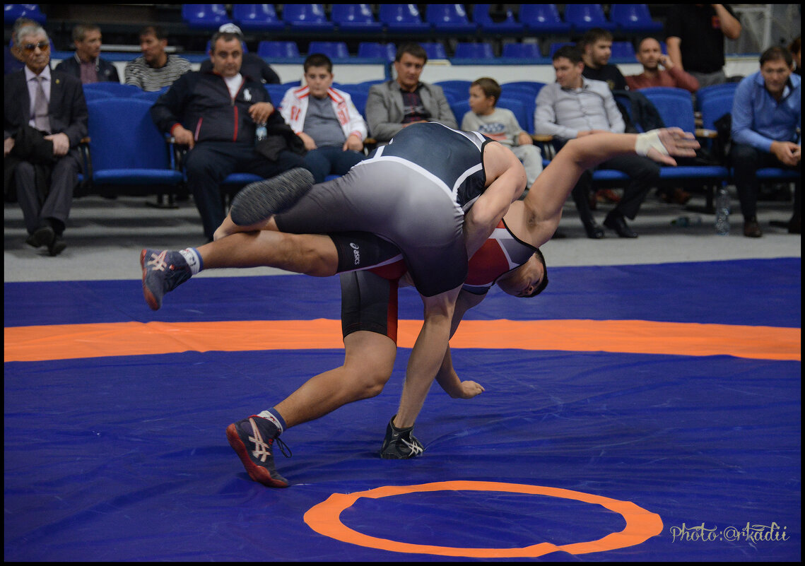 Турнир по греко-римской борьбе - arkadii 