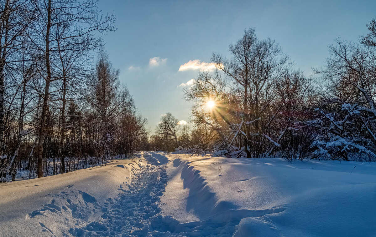 Январский вечер 3 - Андрей Дворников