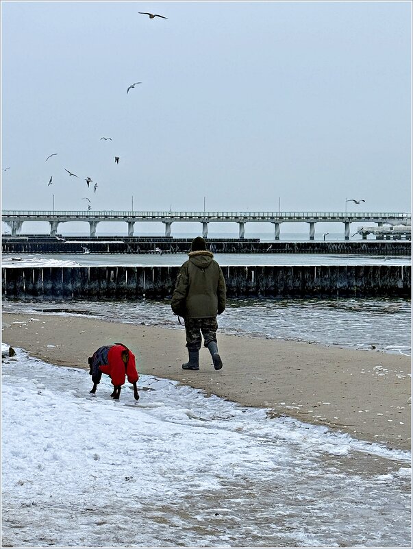 Утренняя прогулка у моря. - Валерия Комова