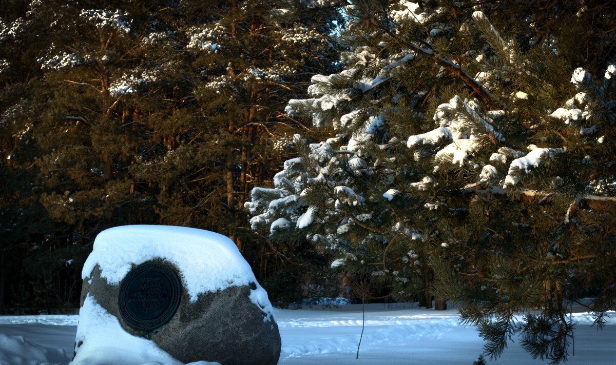 Элемент мемориального комплекса - Валерия Ширковцова