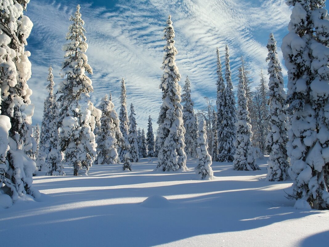 Зимнее творение природы ..... - Ravile 