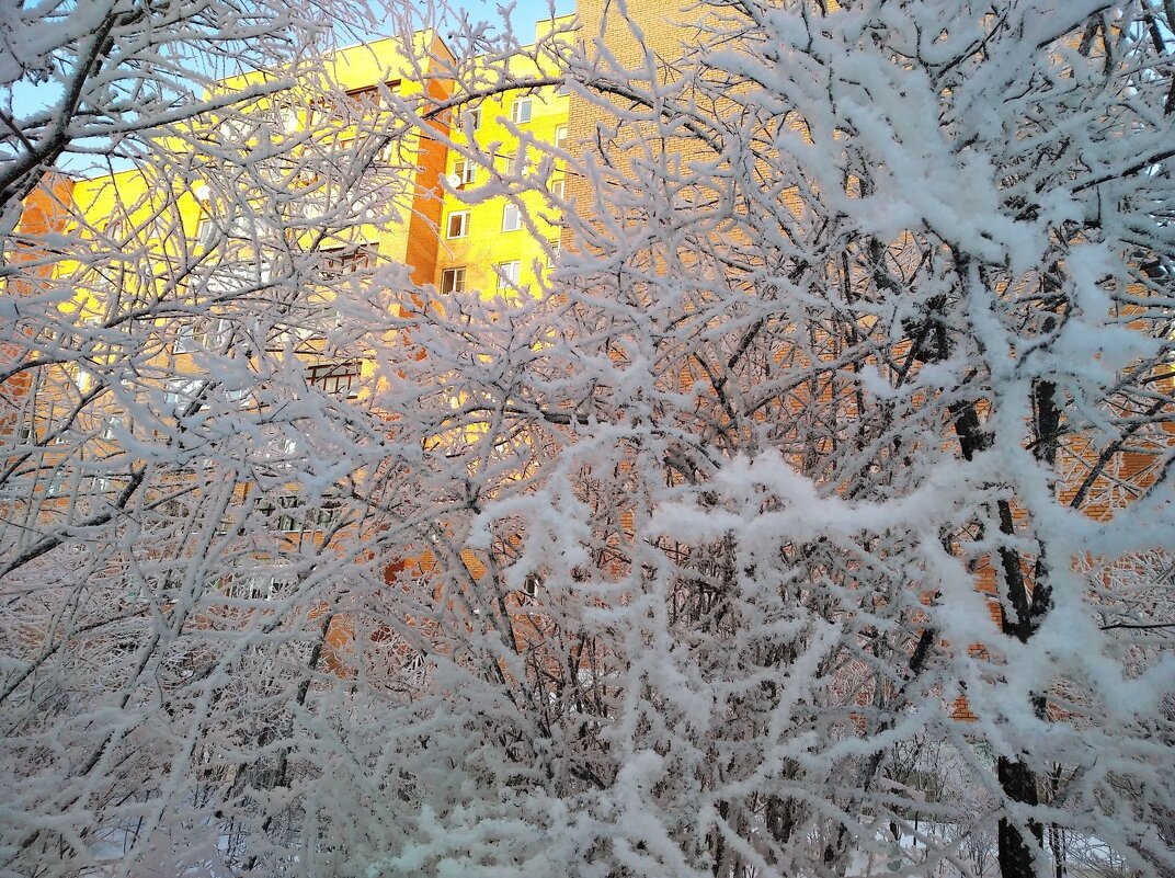 Снежной зимой - Елена Семигина