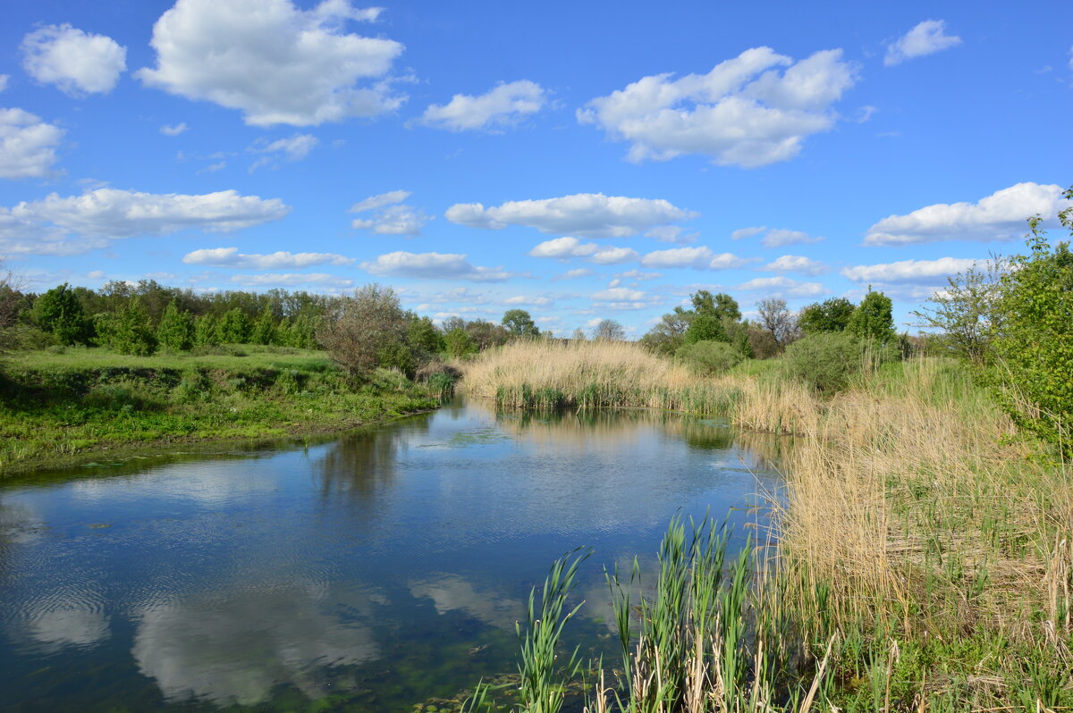 У реки. - Виктор 