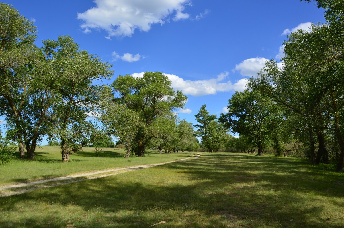 Мои дороги. - Виктор 