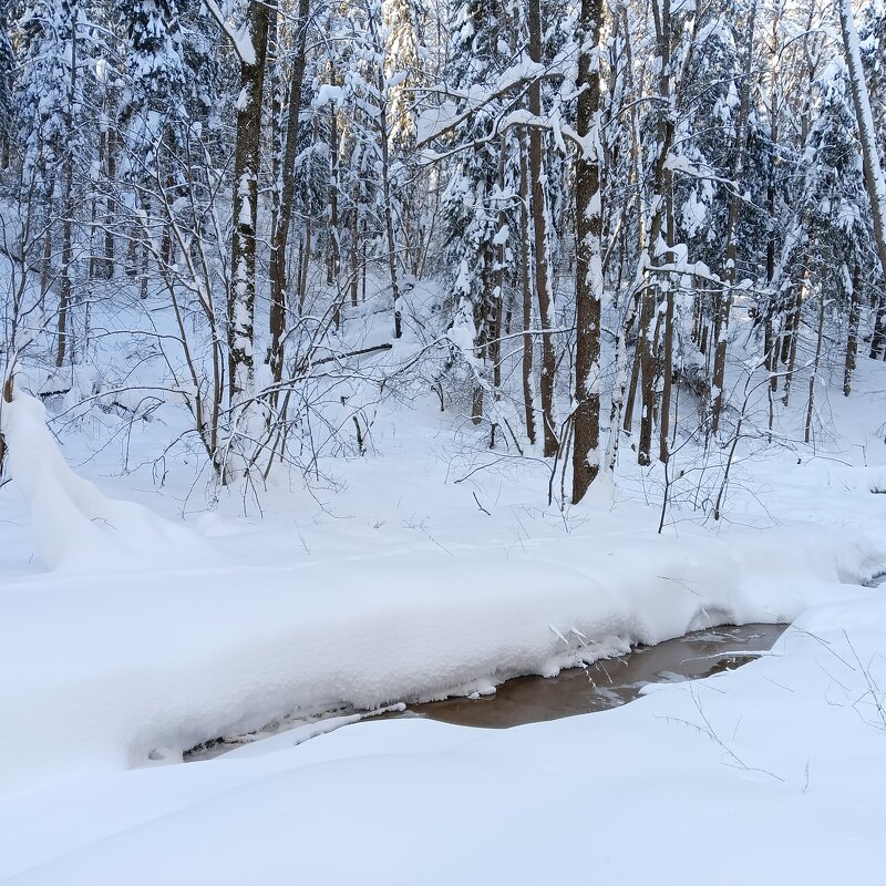 замерз ручей - Владимир 