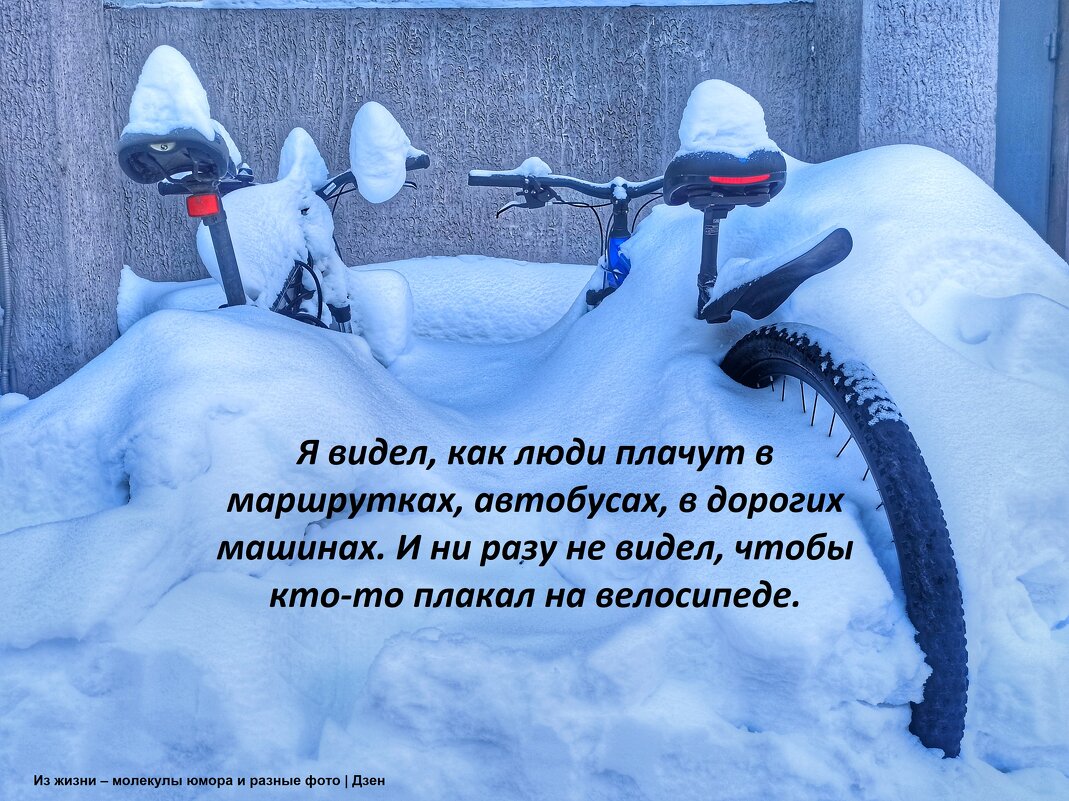 Из жизни велосипедов - svk *