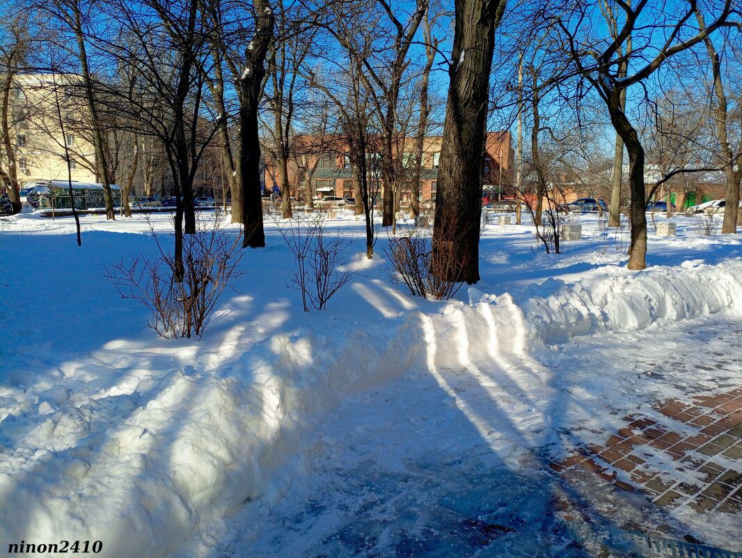 Свет и тени на снегу - Нина Бутко