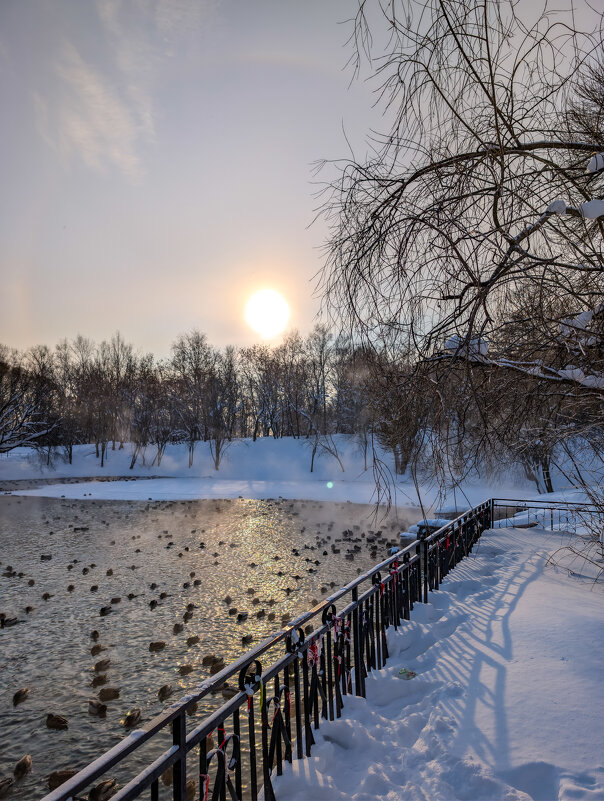 Зимний день в парке С.М.Кирова - Анастасия Логинова