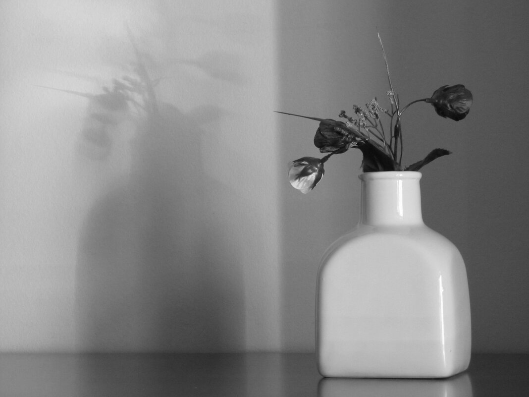 Свет и тень... - Татьяна Гнездилова