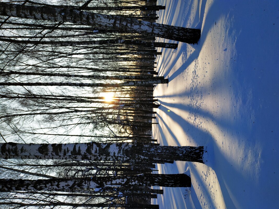 Зима в Москве - Андрей Лукьянов