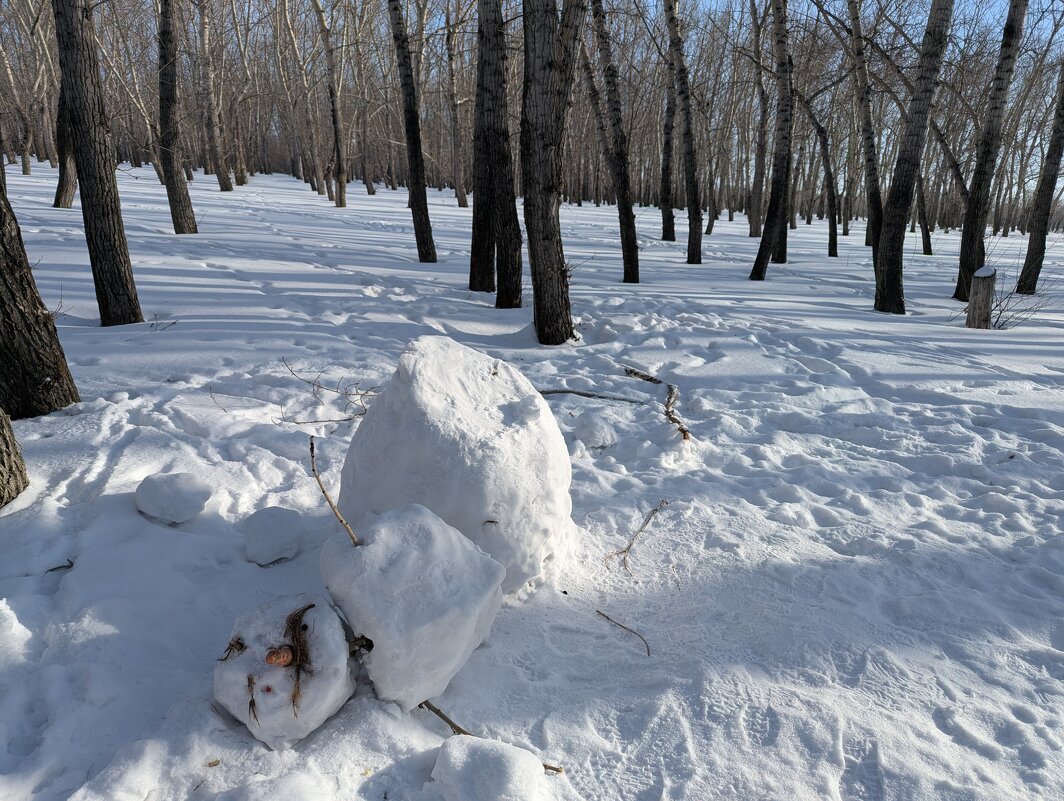 Подрезали снеговика Морковника. - Андрей Хлопонин