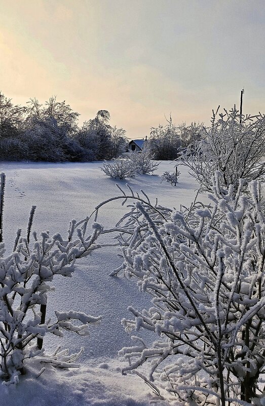 Морозное утро в деревне - Игорь Сычёв
