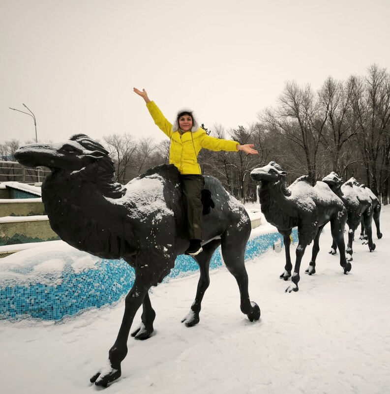 Едут люди на верблюде - Георгиевич 
