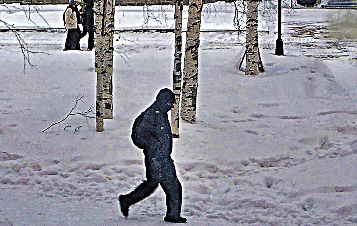 Февраль...Весело из школы! - Владимир 