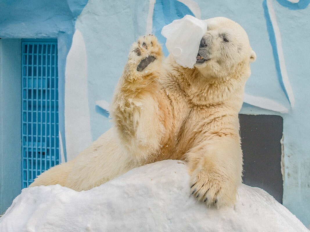 КАЙ - Аркадий Лаптенко