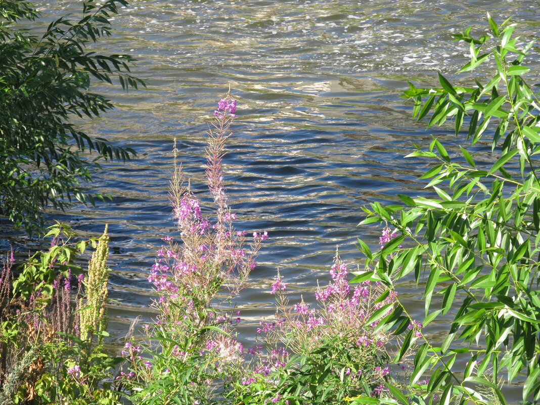 Урал - Елена Шаламова