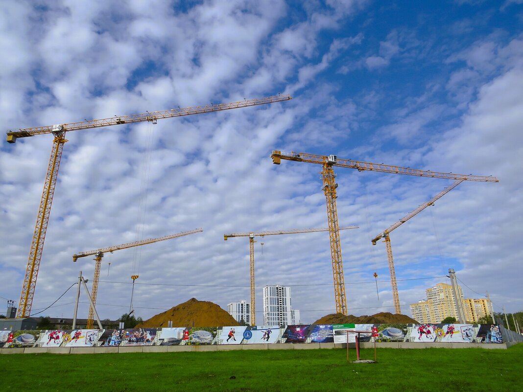 Аисты - Лариса С.