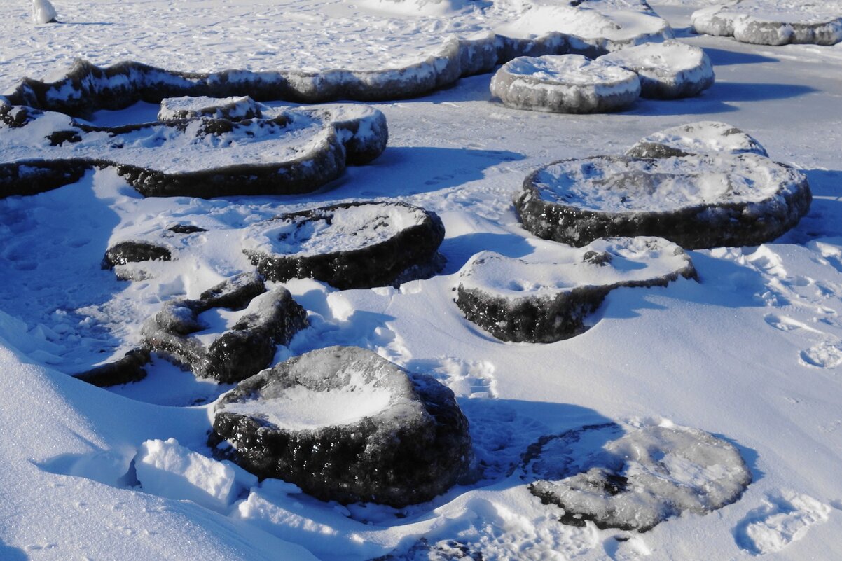 Лунный ландшафт на побережье Балтийского моря - Рита Симонова