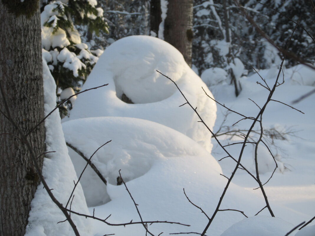 Уснувший - Galaelina ***
