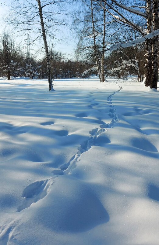 Следы. - Владимир Безбородов