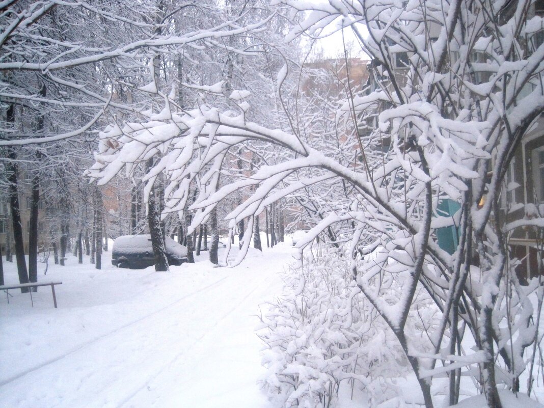 Зима - Елена Семигина