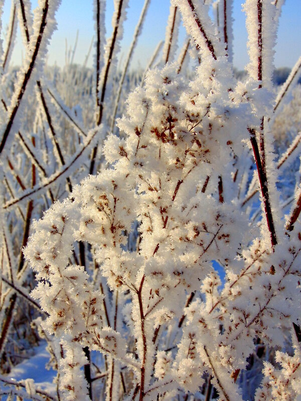 Зима-волшебница. - nadyasilyuk Вознюк
