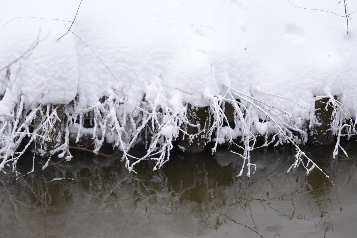 Иней. - Наталья Вязигина