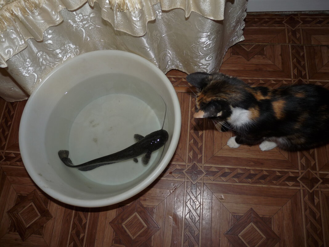 Знакомство - vlad7791 