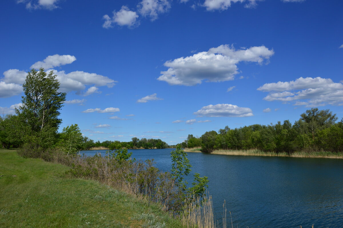Местная река. - Виктор 