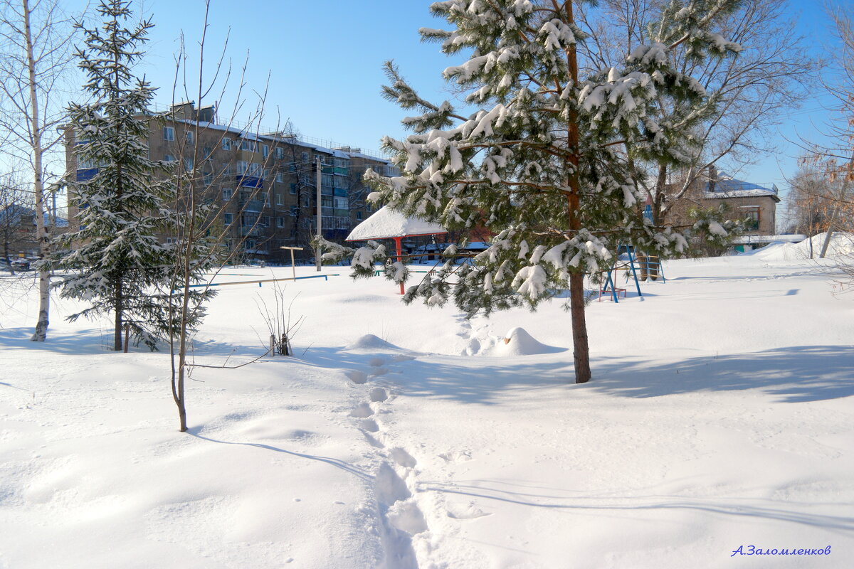 Мороз и солнышко слепит... - Андрей Заломленков