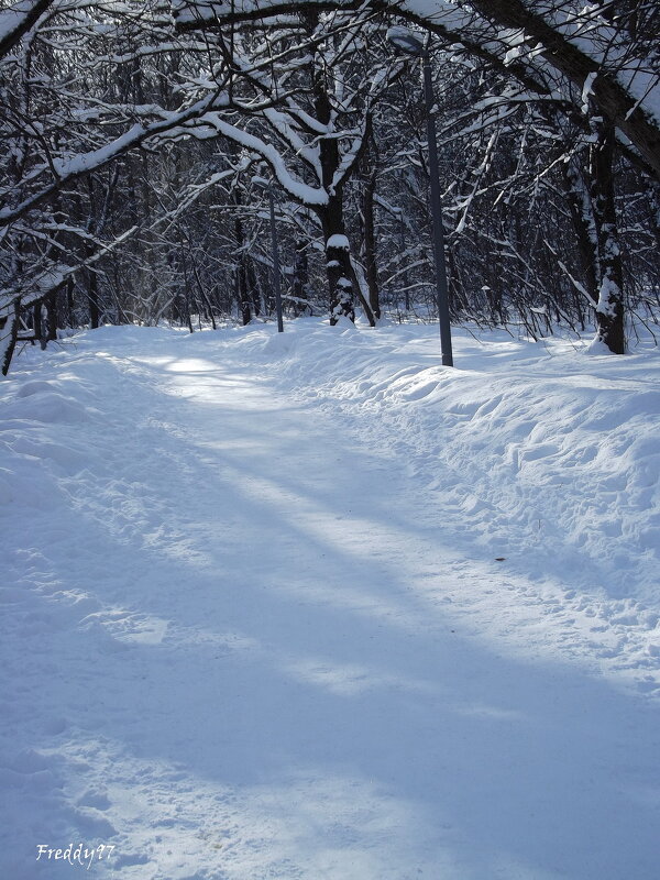 Февральский парк - Freddy 97