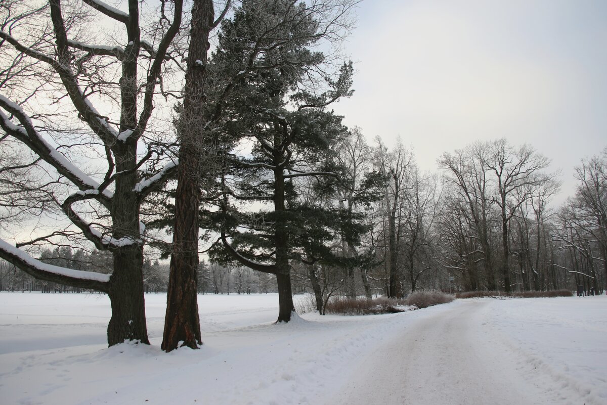 Парк Александрия - Наталья Герасимова