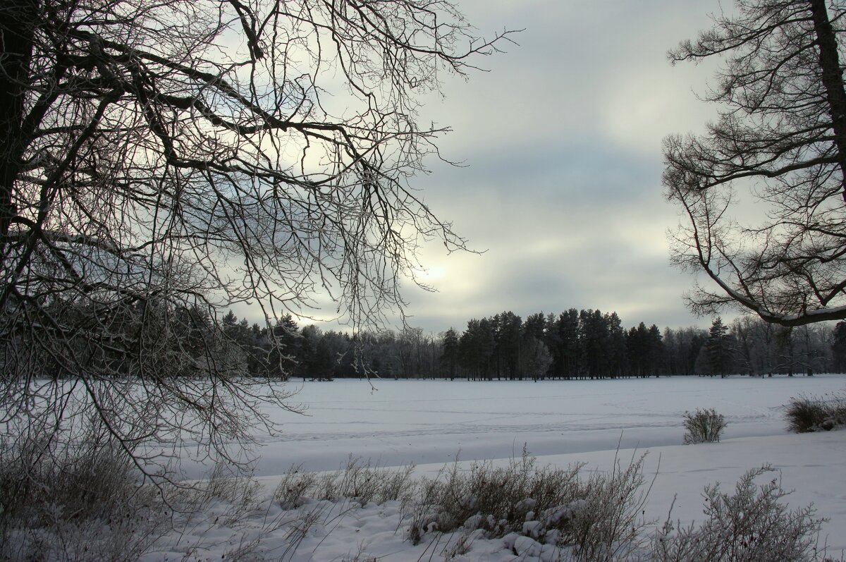Парк Александрия - Наталья Герасимова
