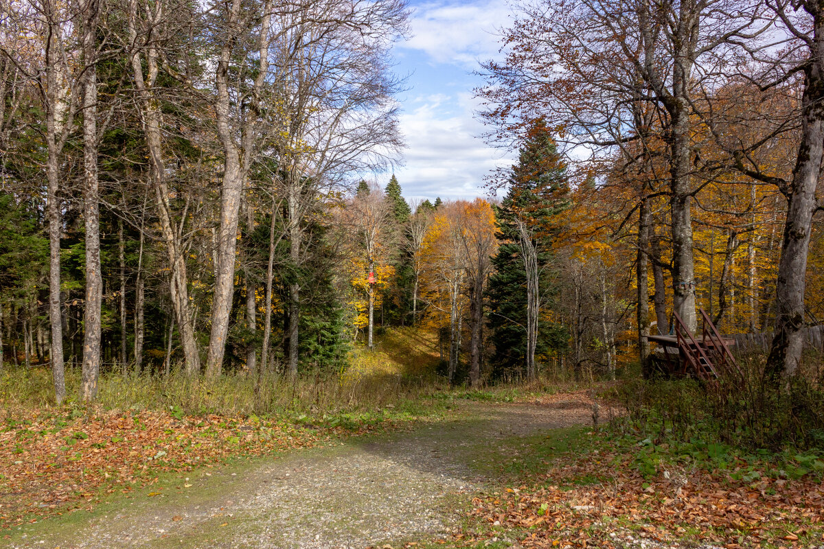 Осень... - ирина )))