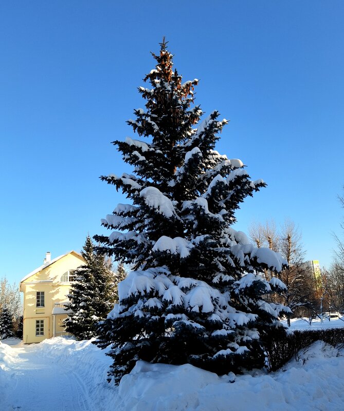 Февраль. - Любимова Ольга 