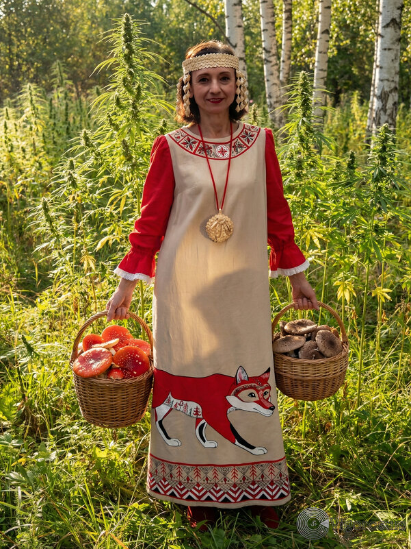 Василиса ведунья - Игорь Волков