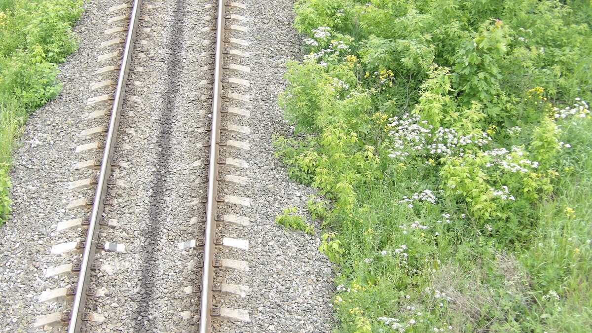 "Путь" - Макс Орлов