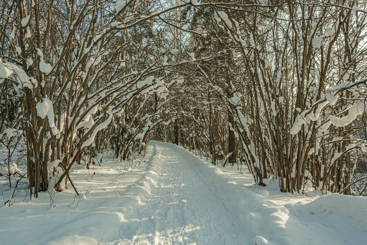 В гостях у сказки - Александр Филатов