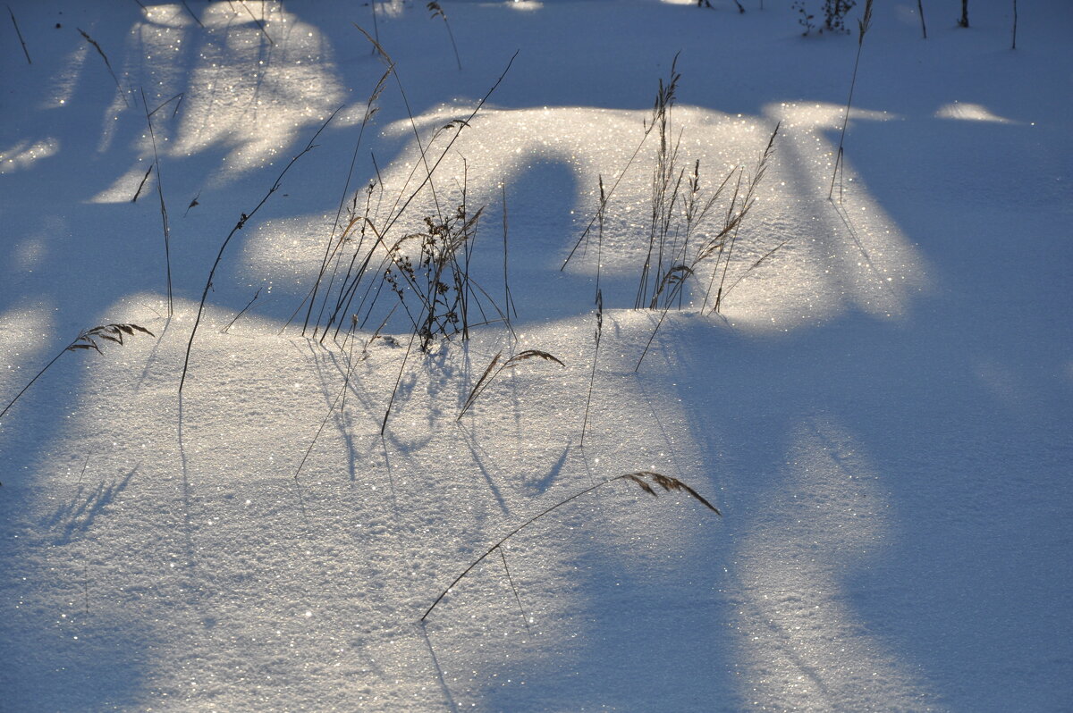 Снежинки и травинки - Татьяна Машошина