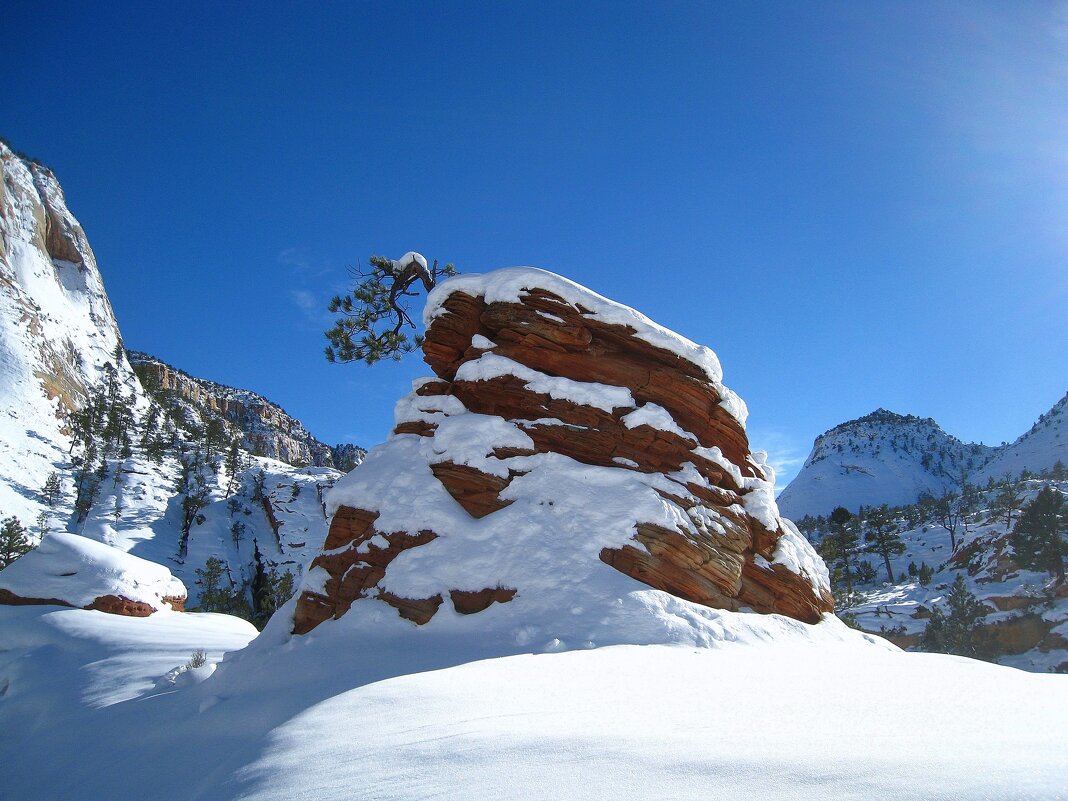 Кусочек зимней Америки. - unix (Илья Утропов)