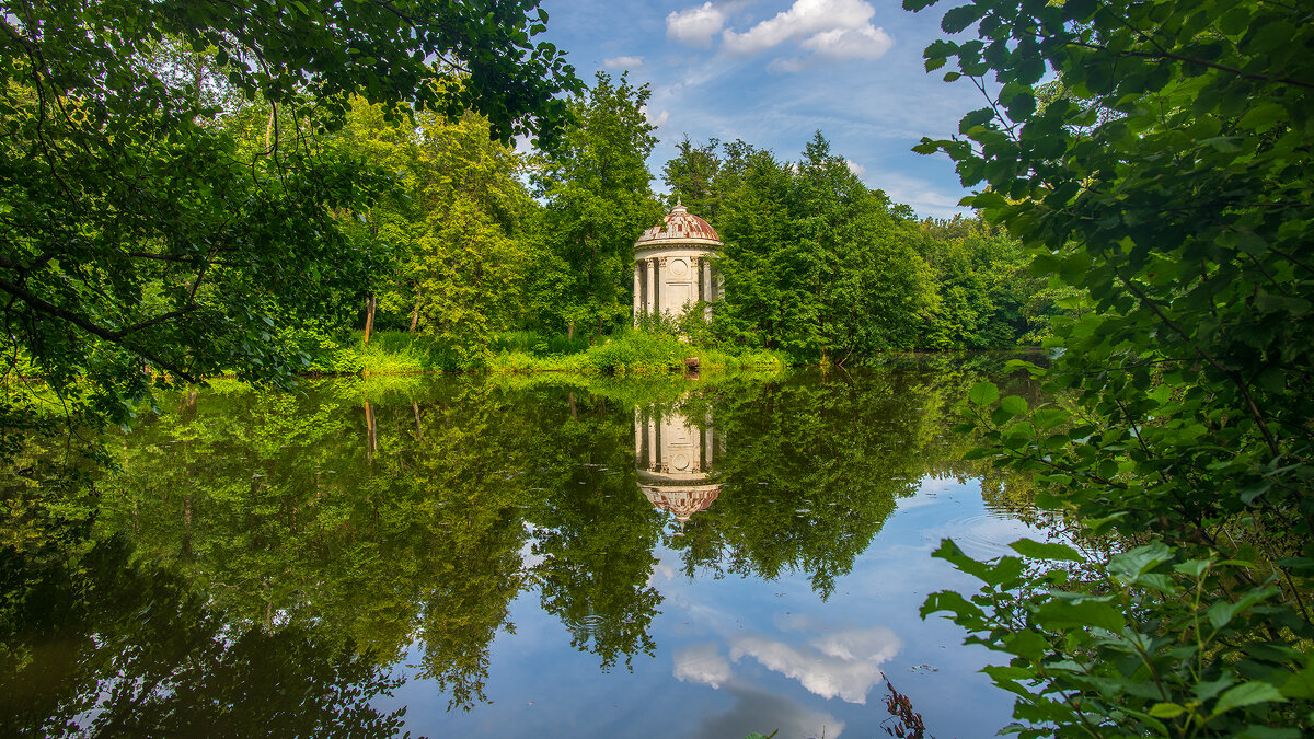 На берегу пруда - Владимир Лазарев