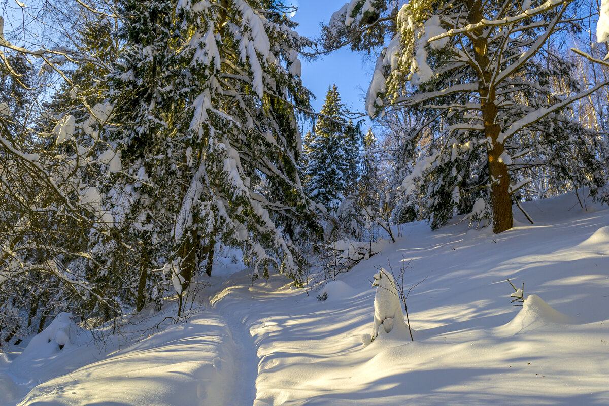 Зимушка-зима - Сергей Цветков