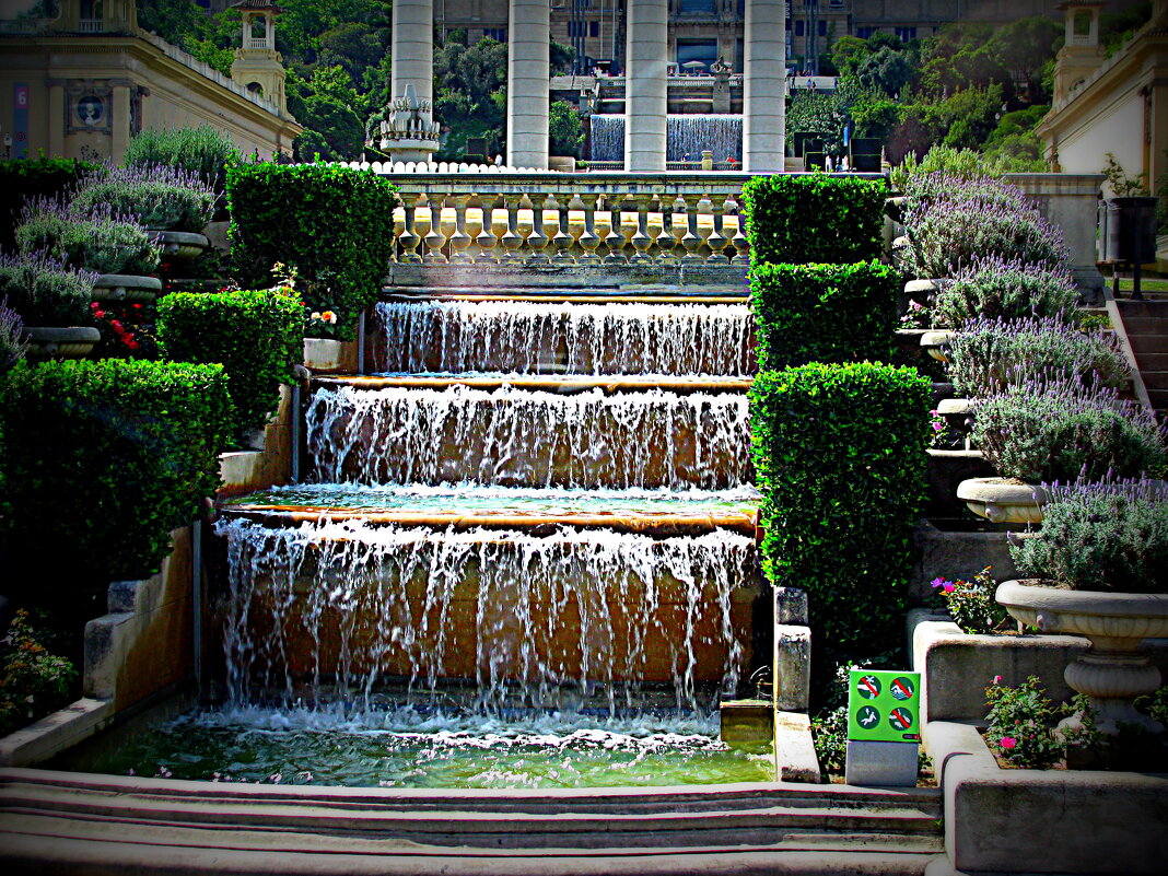 Барселона. - Владимир Драгунский